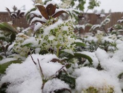 Тавдугаар сарын 22-ноос сэрүүснэ 