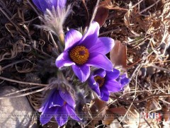 Ойрын өдрүүдийн цаг агаарын мэдээ 