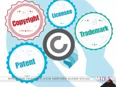 Манай улс оюуны өмчийн хэрэг зөрчилд хяналт тавьж чадахгүй байна