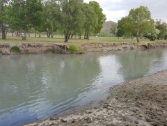 Усны яам байгуулна