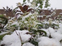Зургаадугаар сарын 3, 4-нд уулархаг нутгаар нойтон цас орно 