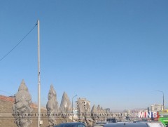 Ямар тохиолдолд модыг гялгар уутаар боож хамгаалдаг вэ 