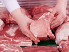 АСЕАН-ий орнуудын зах зээлд ХАА-н бүтээгдэхүүн гаргах боломжтой