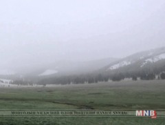 Хур тунадас орж, сэрүүснэ 