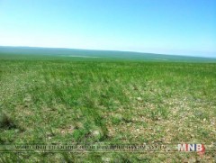 Тосон Хулстайн байгалийн нөөц газарт ажиллах ажлын хэсэг байгуулжээ