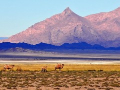 Зүүдний цэнхэр говь