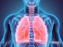 Халдвар авсан хүн 1-2 жилийн хугацаанд сүрьеэгээр өвдөх магадлалтай 