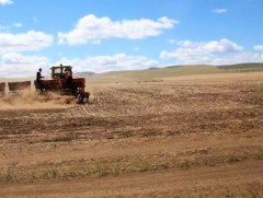 Гадаа сэрүүн байгаа учир ил талбайн тариалалтаа хойшлуулжээ 