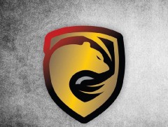 Монголын цахим спортын холбооны тэмцээнд “Mazaalai” баг түрүүлэв