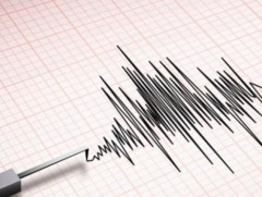 7-8 баллын газар хөдлөлт болоход 656 сургуулийн 27 хувь нь тэсэхгүй