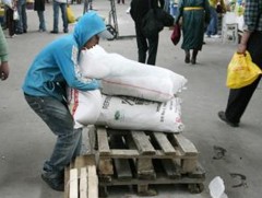 Хөдөлмөр эрхэлж байгаа хүүхдийн судалгааг долоон жил шинэчлээгүй