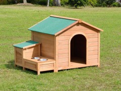 Тэжээвэр нохой бамбаруушаа дагуулсан эвштэй “тулалджээ”