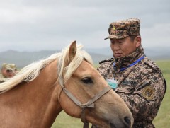 Ж.Даваадорж: Монгол морь “Аравт” уралдаанд хамгийн чухал үүрэг гүйцэтгэнэ