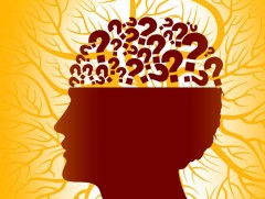 Оюуны спортын тамирчид дэлхийн есөн рекордыг шинэчлэв