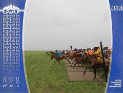 Г.Чинзоригийн халтар даага түрүүллээ 