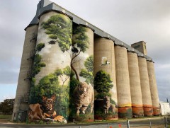 Зураач Х.Хоснаран 30 метр өндөртэй хананд бүтээлээ туурвилаа