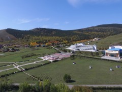 Олон улсын хүүхдийн Найрамдал цогцолбор энэ жил 800 хүүхэд хүлээн авч байна