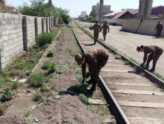 Ил задгай хаясан 228.6 тонн хог хаягдлыг цэвэрлэжээ