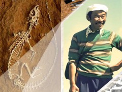 Палеонтологийн танхимыг доктор, профессор Ч.Минжин агсны нэрэмжит болгов