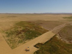 Говийн хашаалсан талбайд үр, усалгаа шаардахгүйгээр суль, цулхир ургажээ