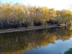 Ойрын өдрүүдэд цаг агаар тогтуун байна