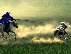 “Гайхамшигт монгол адуу” нэвтрүүлэг