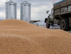 Шинэ ургацын ногоо, улаан буудайн тээвэрлэлт ямар байна вэ 