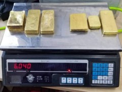 Зургаан кг буюу 779 сая төгрөгийн алт хилээр гаргах гэж байгаад баригдав