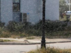 Ч.Чулуунжав: Одоо хар ялааны хор цацах нь үргүй зардал