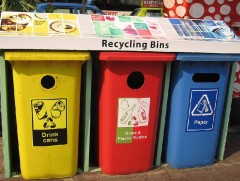 Хичээлийн шинэ жилийн эхний өдөр хог хаягдал ангилах хичээл оржээ