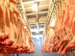 Өвөрхангай аймаг өндөр үнээр мал, мах худалдан авч байна