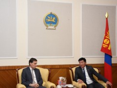 ТББХ, Европын аюулгүй байдал, хамтын ажиллагааны байгууллагатай улс төрийн намын тухай хуулийн төс..