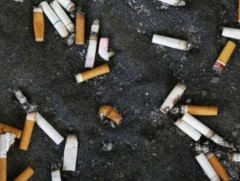 Ил задгай хог хаягдлыг бууруулахын тулд иргэд бие биедээ шаардлага тавих нь чухал  