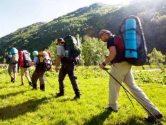 Аялал жуулчлалын салбараас нэг тэрбум ам.доллар төвлөрүүлнэ