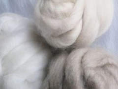 Ноолуурын үйлдвэрлэлийн салбараас олох орлого сүүлийн хоёр жилд 30 хувиар нэмэгджээ