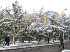 Ойрын өдрүүдийн цаг агаарын мэдээ 