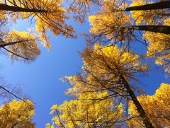 Өнөөдрөөс ихэнх нутгаар дулаарна