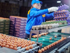 Хүний биед эрдэс бодис дутагдвал дархлаа мууддаг 