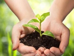 Усаа гамнах, хогоо багасгах нь тогтвортой хөгжлийн төлөө хүн бүрийн хийж чадах хувь нэмэр