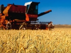 Ургац хураалтыг шуурхайлах чиглэл өглөө 