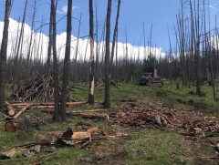 Ойн цэвэрлэгээ хийж байна