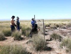 Сурагчид малчидтай хамтран таван булгийн эхийг хашиж хамгаалав