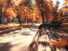 Ойрын өдрүүдийн цаг агаарын мэдээ