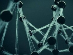 Эрдэмтэд аалзны дуурайлгасан торгон утас бүтээжээ