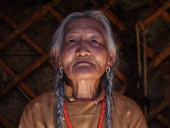 “Хөхөө”-г олон улсын кино наадамд сойно