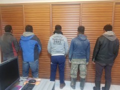 Туслах малчин мотоцикл, олон тооны адуу хулгайлжээ