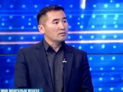 Б.Оюунсанаа: Ойн цэвэрлэгээнээс гарсан модыг эдийн засгийн эргэлтэд оруулах боломжтой