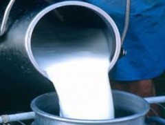 Малчин фермерүүд сүүгээ өвлийн улиралд 1000 төгрөгөөр үйлдвэрт тушаадаг