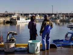 Японы Засгийн газар цацраг идэвхт бодисын агууламжтай усыг хэрхэн талаар хэлэлцэж байна 