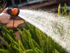 Австралийн Сидней хотод усны хэрэглээг хязгаарлалтад оруулж эхэллээ